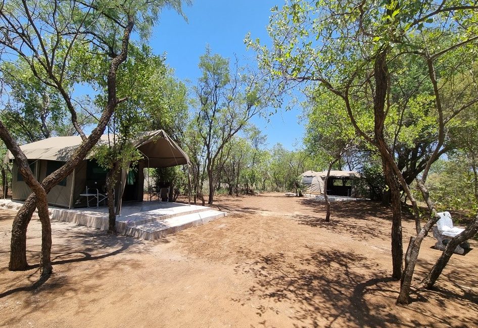 Private bush camp under the trees